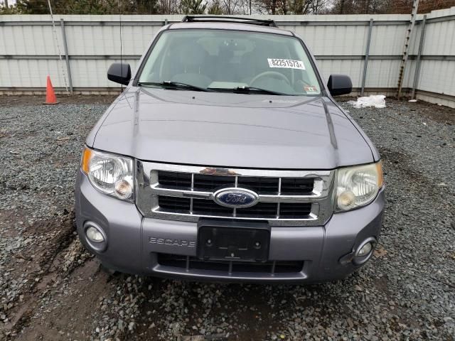 2008 Ford Escape XLT