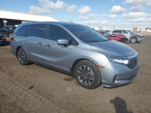 2022 Honda Odyssey EXL