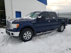 Salvage cars for sale at Farr West, UT auction: 2011 Ford F150 Supercrew