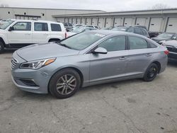 Salvage cars for sale at Louisville, KY auction: 2016 Hyundai Sonata SE