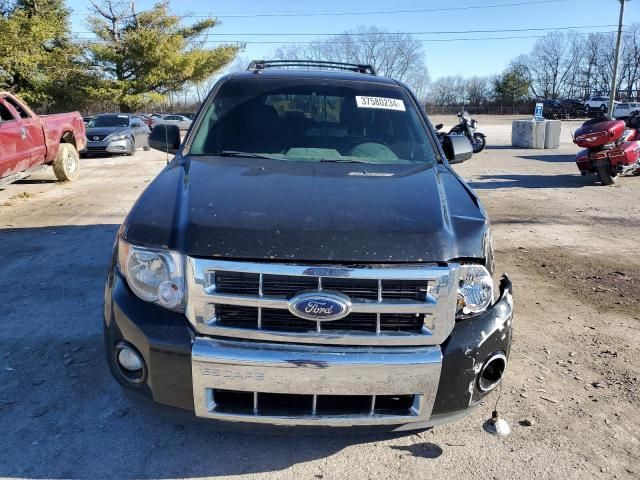 2011 Ford Escape Limited