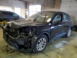 Salvage cars for sale at Indianapolis, IN auction: 2021 Ford Escape S