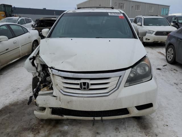 2009 Honda Odyssey EXL