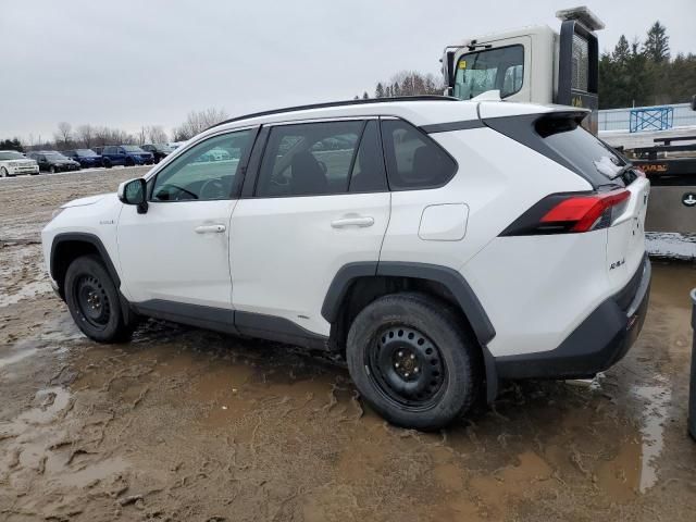 2019 Toyota Rav4 LE