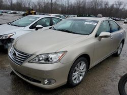 Lexus ES 350 salvage cars for sale: 2011 Lexus ES 350