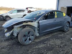 Salvage cars for sale from Copart Windsor, NJ: 2023 Tesla Model 3