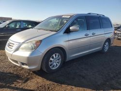 Honda salvage cars for sale: 2008 Honda Odyssey EXL