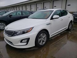 Vehiculos salvage en venta de Copart Louisville, KY: 2016 KIA Optima Hybrid