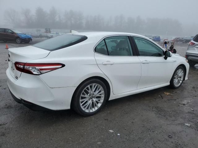 2019 Toyota Camry Hybrid