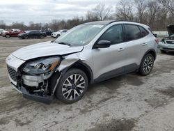Salvage cars for sale at Ellwood City, PA auction: 2020 Ford Escape SE Sport