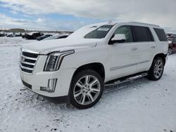 Salvage cars for sale at Magna, UT auction: 2017 Cadillac Escalade Luxury
