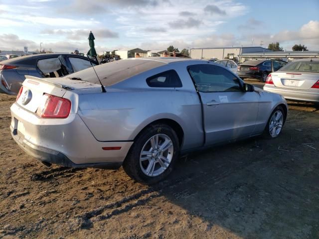 2010 Ford Mustang