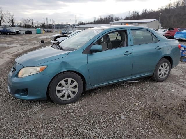 2009 Toyota Corolla Base