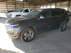 Vehiculos salvage en venta de Copart Phoenix, AZ: 2023 Hyundai Santa FE SE