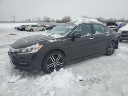 Salvage cars for sale at Wayland, MI auction: 2017 Honda Accord Sport Special Edition