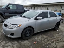 Salvage cars for sale at Louisville, KY auction: 2010 Toyota Corolla Base