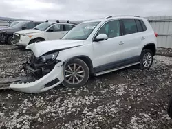 2017 Volkswagen Tiguan Wolfsburg en venta en Earlington, KY