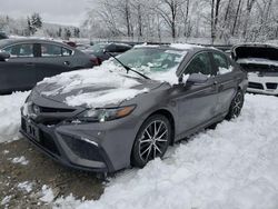 Salvage cars for sale at Candia, NH auction: 2023 Toyota Camry SE Night Shade