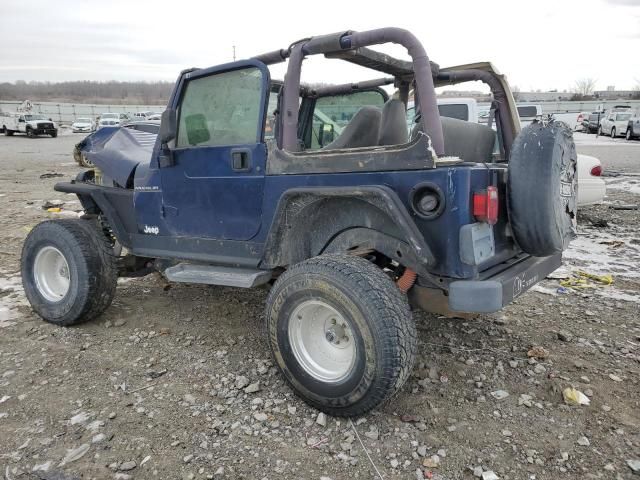 2002 Jeep Wrangler / TJ X