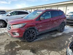 Salvage cars for sale from Copart Louisville, KY: 2017 Ford Escape SE