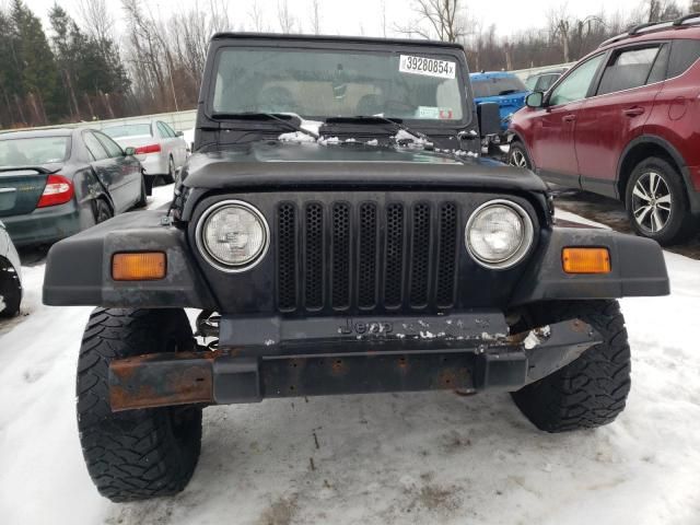 1998 Jeep Wrangler / TJ SE