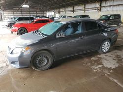 Toyota Corolla salvage cars for sale: 2010 Toyota Corolla Base