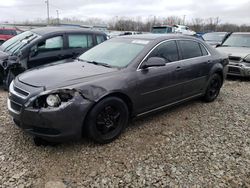 Salvage cars for sale from Copart Louisville, KY: 2010 Chevrolet Malibu 1LT