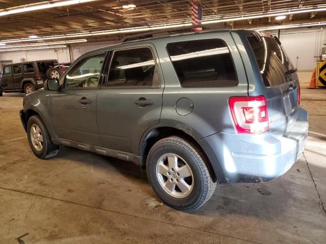 2012 Ford Escape XLT