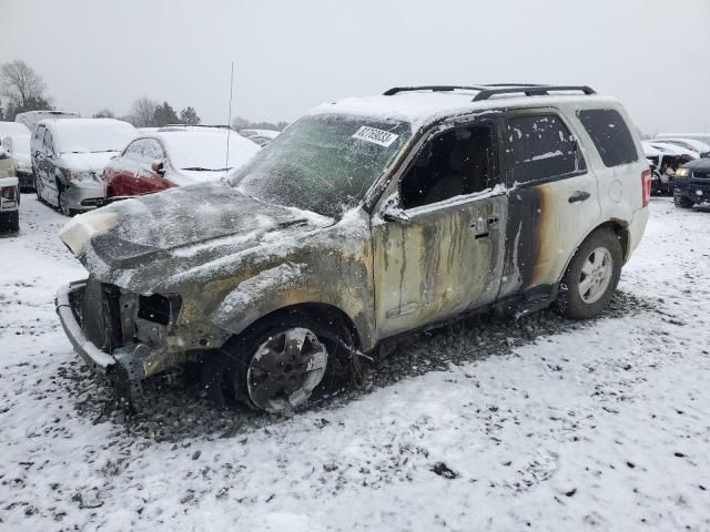 2008 Ford Escape XLT