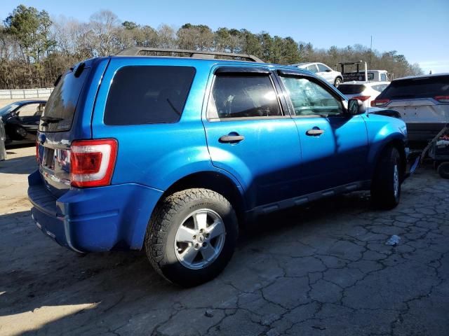 2011 Ford Escape XLT