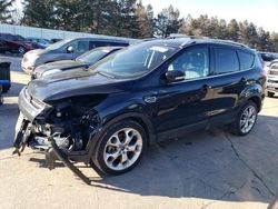 Salvage cars for sale from Copart Eldridge, IA: 2013 Ford Escape Titanium