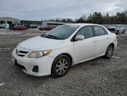 Salvage cars for sale at Memphis, TN auction: 2011 Toyota Corolla Base