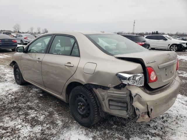 2009 Toyota Corolla Base