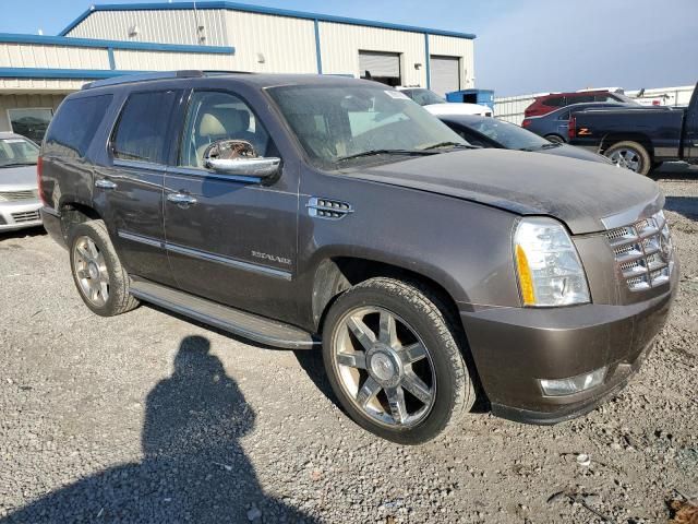 2011 Cadillac Escalade Luxury