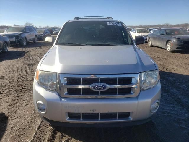 2011 Ford Escape XLT