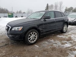 Audi q5 salvage cars for sale: 2011 Audi Q5 Premium