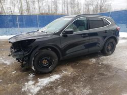 Ford Escape Titanium salvage cars for sale: 2022 Ford Escape Titanium