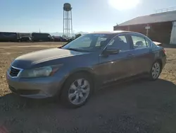 Carros salvage a la venta en subasta: 2010 Honda Accord EXL