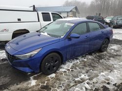 Hyundai Elantra salvage cars for sale: 2023 Hyundai Elantra SEL