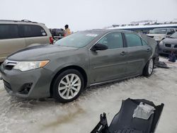 Toyota Vehiculos salvage en venta: 2014 Toyota Camry L