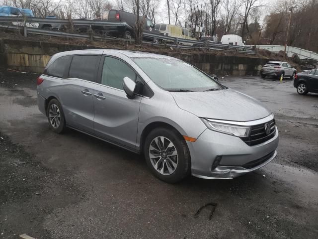 2021 Honda Odyssey EXL