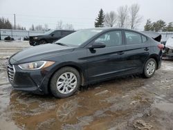 Hyundai salvage cars for sale: 2017 Hyundai Elantra SE