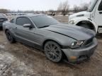 2010 Ford Mustang