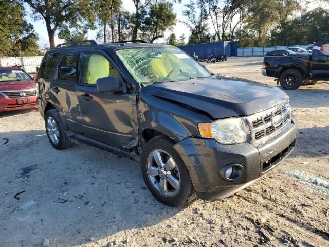 2009 Ford Escape XLT