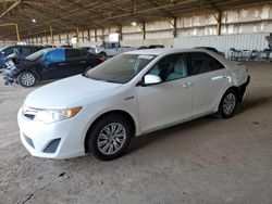 Toyota salvage cars for sale: 2013 Toyota Camry Hybrid