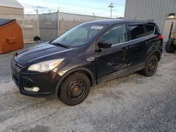 Vehiculos salvage en venta de Copart Elmsdale, NS: 2013 Ford Escape SE