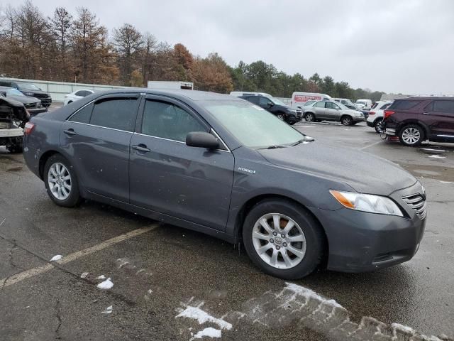 2009 Toyota Camry Hybrid