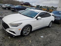 Hyundai Sonata sel salvage cars for sale: 2023 Hyundai Sonata SEL