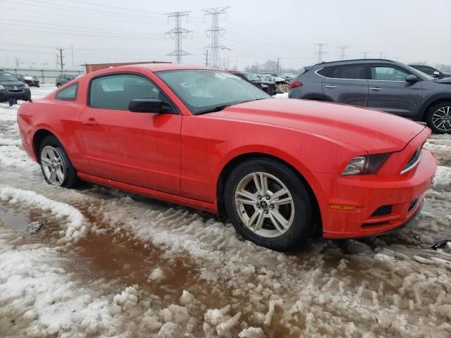 2014 Ford Mustang