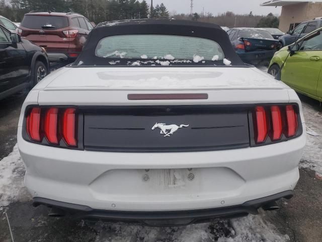 2019 Ford Mustang